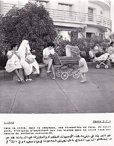 Algerie propagande 056